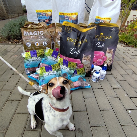 Útulek pro psy LOZ ČR Olomouc